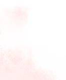 Artis Brno vs布尔_第11号台风“杨柳”突然北抬Artis Brno vs布尔!明天闵行或将下开水……