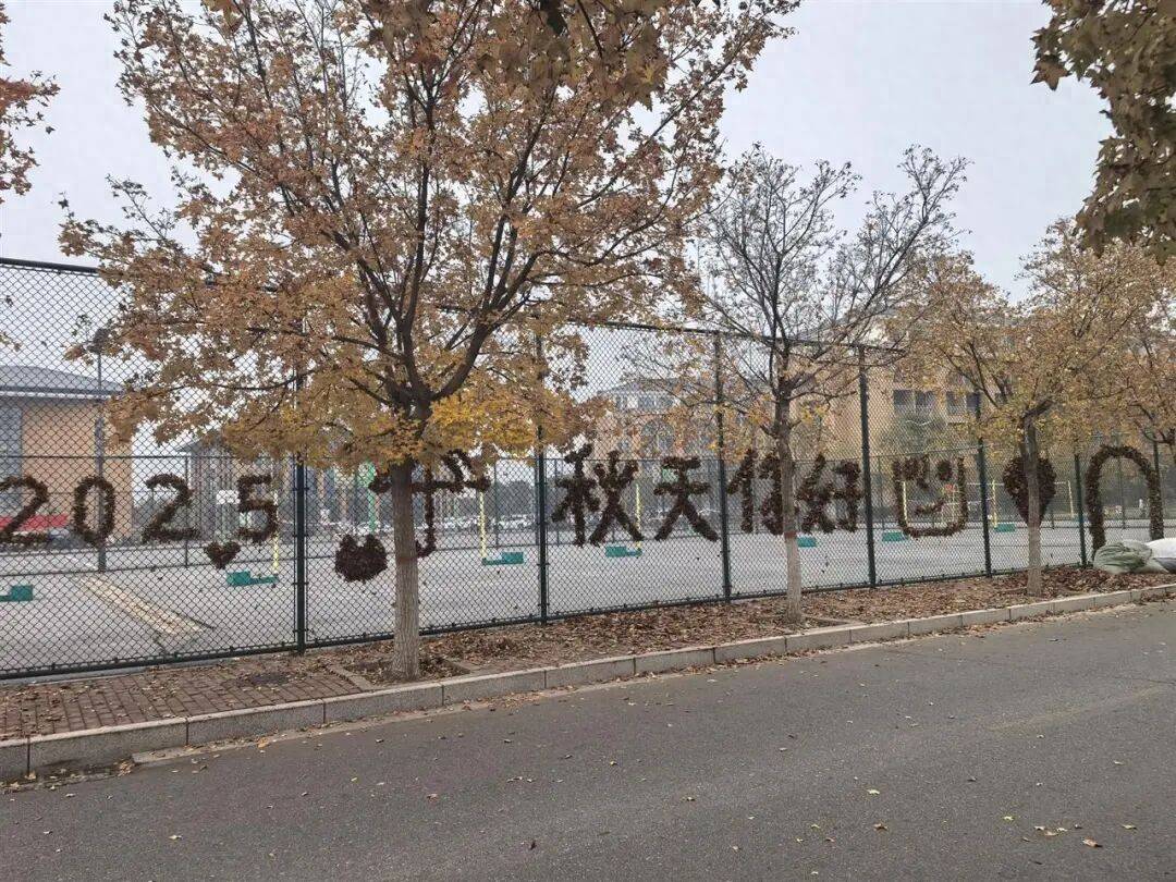 买球的正规网站
_河南一医学院学生用落叶在篮球场铁网上插出心肝肺胃、注射器等图案买球的正规网站
,学校:秋日限定浪漫