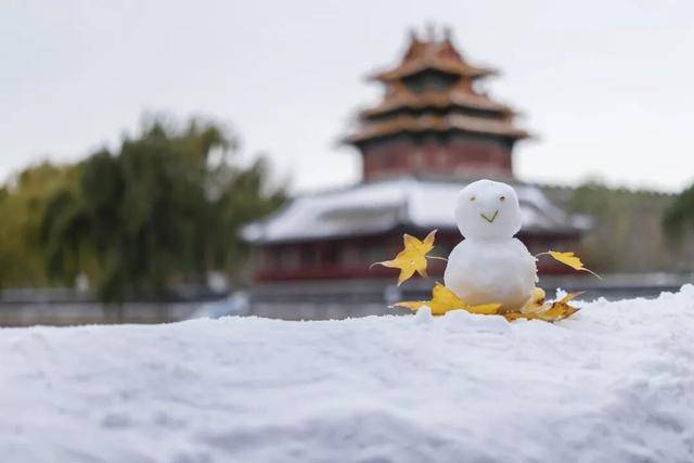 洲际附加赛2组_北京周五的雪“稳”了！大部中雪、局地暴雪洲际附加赛2组，但故宫周六的票约满了……