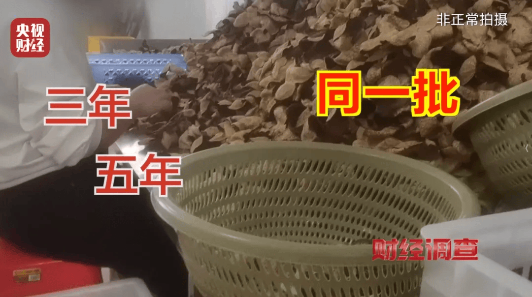 皇冠信用盘登2
_广西浦北凌晨通报——